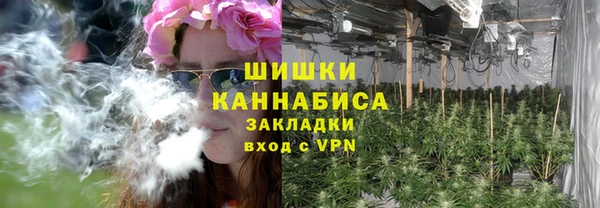 ECSTASY Богородицк