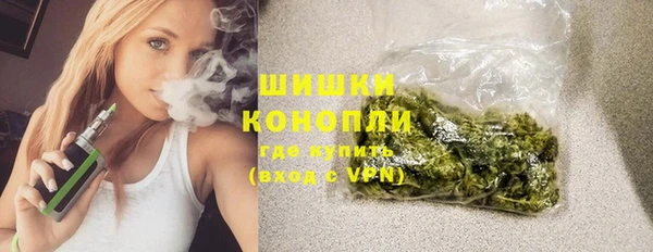 ECSTASY Богородицк