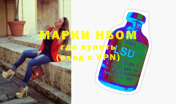 ECSTASY Богородицк