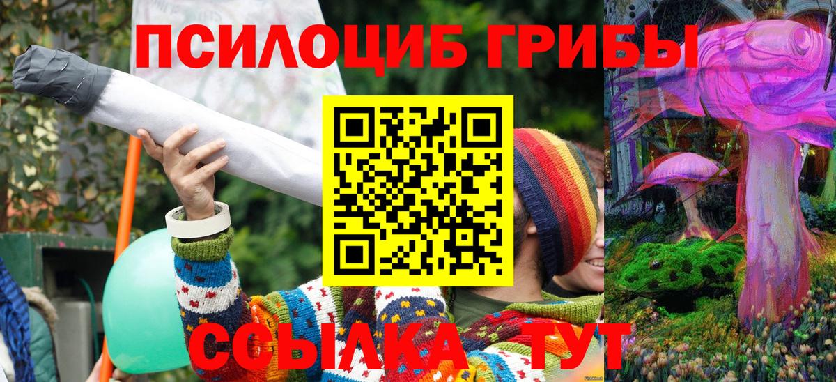 Галлюциногенные грибы Psilocybe  Вход с VPN  Обь 