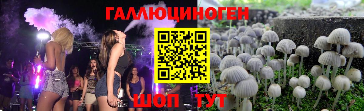 Псилоцибиновые грибы GOLDEN TEACHER Обь
